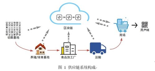 基于區(qū)塊鏈的食品安全溯源系統(tǒng) 構(gòu)建透明可信的信息集成服務(wù)體系