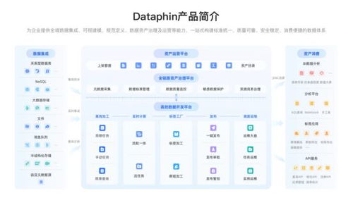 企業(yè)數(shù)據(jù)系統(tǒng)建設(shè) 治理價值凸顯，2025主流產(chǎn)品與服務(wù)全景展望